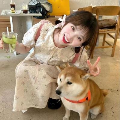阿涅斯的海滩